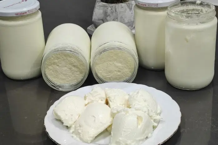 Yogurt Fatto in Casa: Una Ricetta Semplice e Salutare con Soli 2 Ingredienti