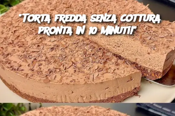 "Torta fredda senza cottura pronta in 10 minuti!"