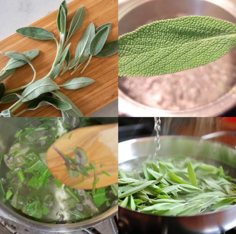 Perché un uomo dovrebbe morire se la salvia cresce nel suo giardino?