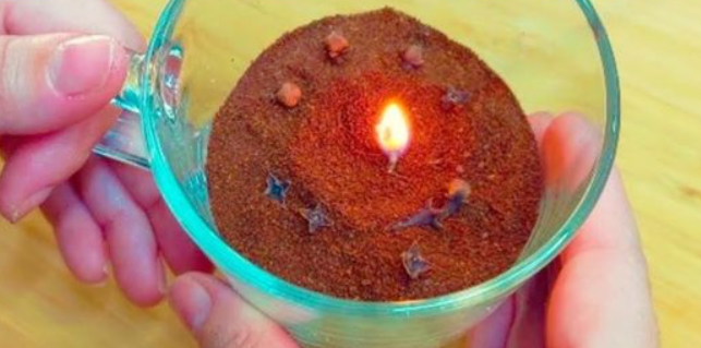 3 trucchi casalinghi per allontanare scarafaggi, zanzare e mosche