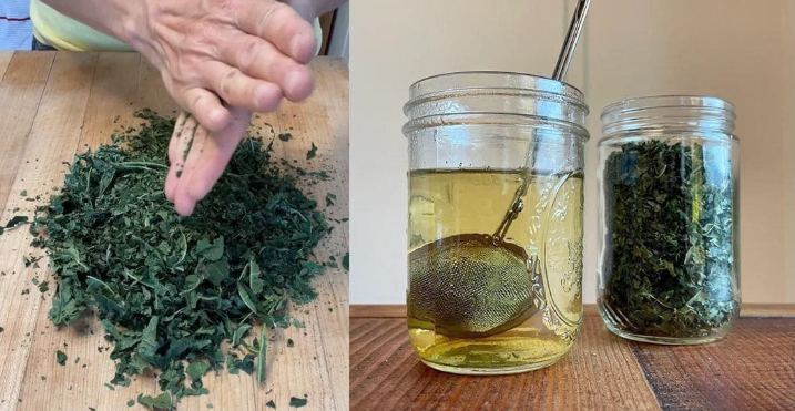 Il potere delle foglie di fico: diversi benefici nascosti in queste foglie