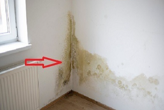 Il vecchio trucco della nonna fa sparire la muffa dalla tua casa