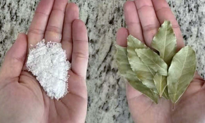 Alloro, sale e bicarbonato: incredibili benefici in casa