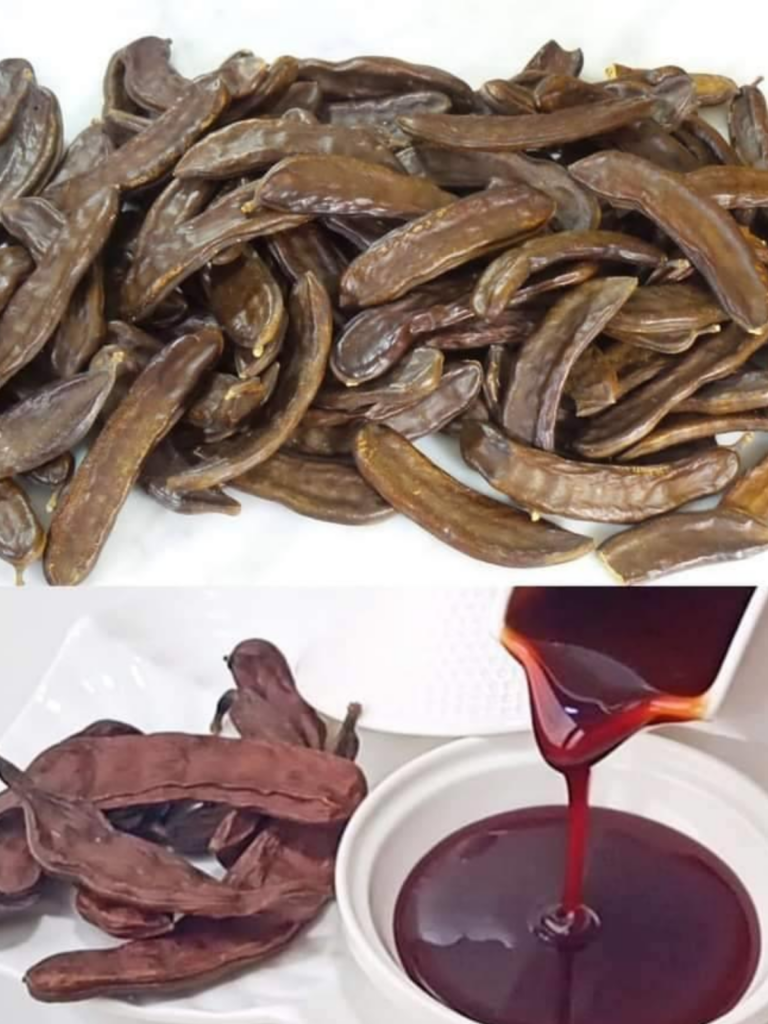 Riscopri la Carruba: Il Frutto Dimenticato che Merita un Posto nella Tua Dieta