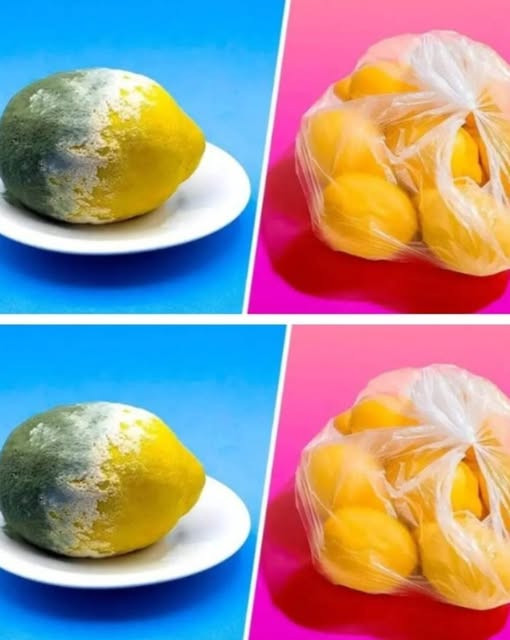 Il trucco per conservare i limoni per 3 mesi o più ed evitare che marciscano