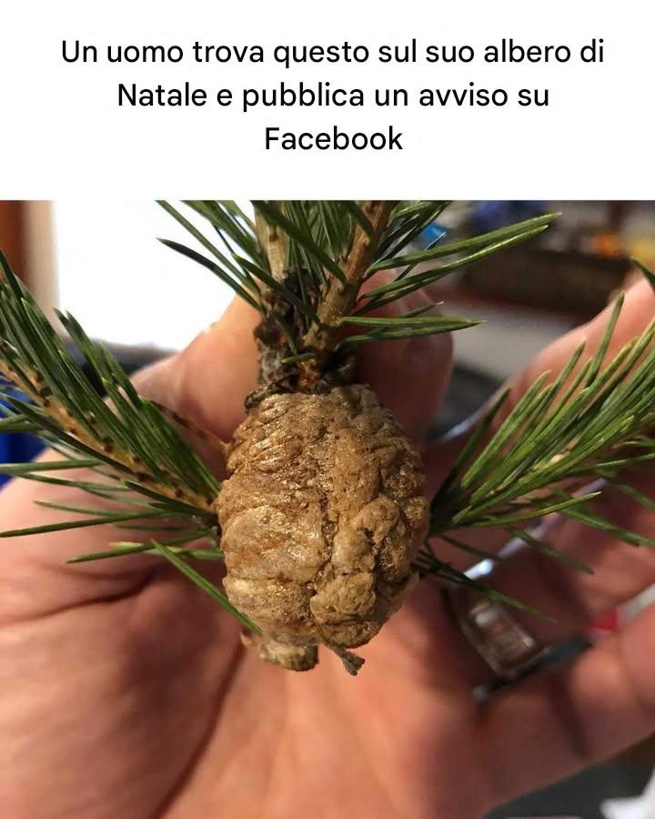 Non pensavo fosse possibile!