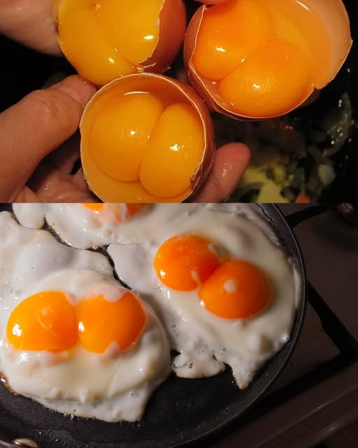 Cosa vuol dire quando un uovo ha due tuorli?