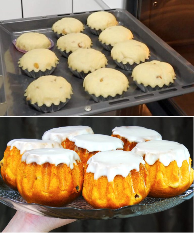 Rettile sovietico dimenticato: può essere cucinato per Pasqua. “Baba al rum”