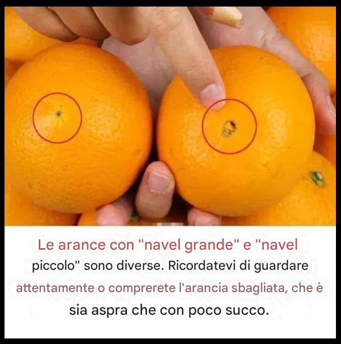 Le arance con “navel grande” e “navel piccolo” sono diverse