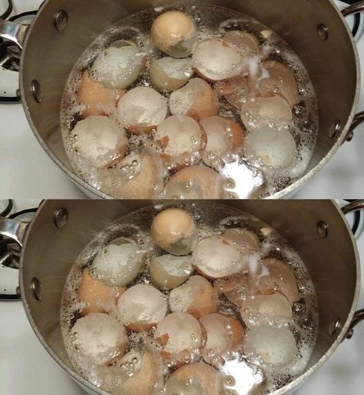 I gusci d’uovo possono essere bolliti in una pentola per risparmiare un sacco di soldi