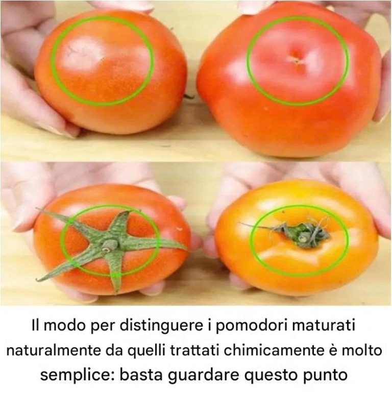 Il modo per distinguere i pomodori maturati naturalmente