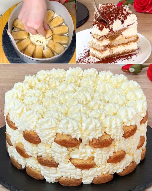 Torta Tiramisù Cremosa: Il Dolce Fresco e Senza Forno che Conquisterà Tutti