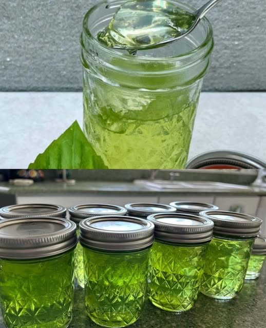 Come preparare la marmellata di basilico: una ricetta fresca e originale