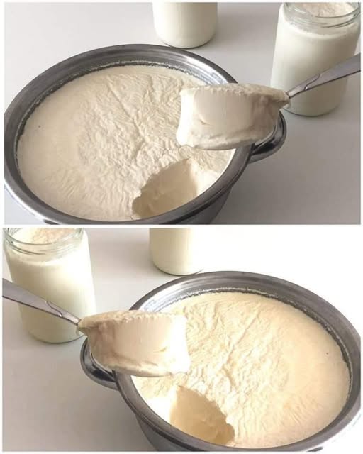 Formaggio Fatta in Casa con Latte e Lievito: Un’Alternativa Facile e Gustosa