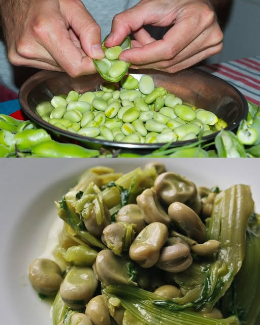 Fave: tutte le proprietà e i benefici di questo legume primaverile