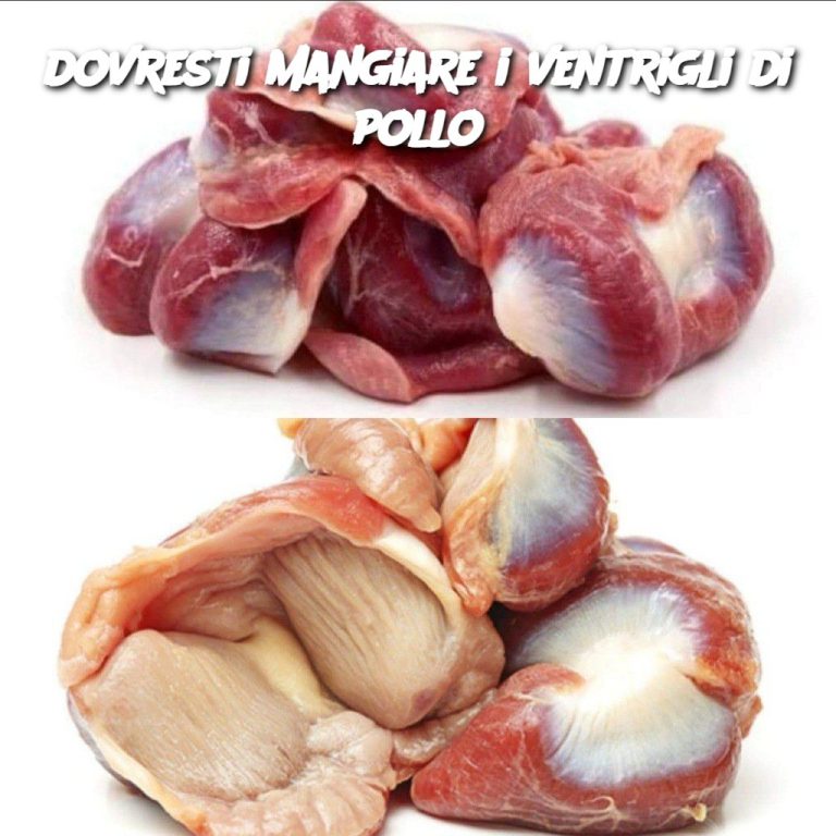 dovresti mangiare i ventrigli di pollo