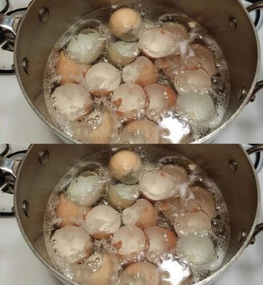 Fai bollire i gusci d’uovo in una casseruola: risparmierai un sacco di soldi