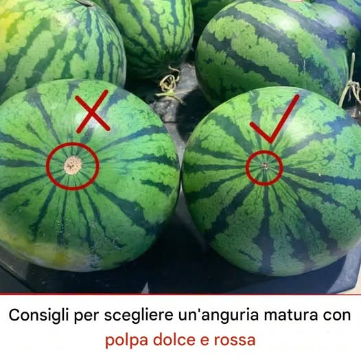 Il trucco per scegliere un’anguria matura con polpa dolce e rossa